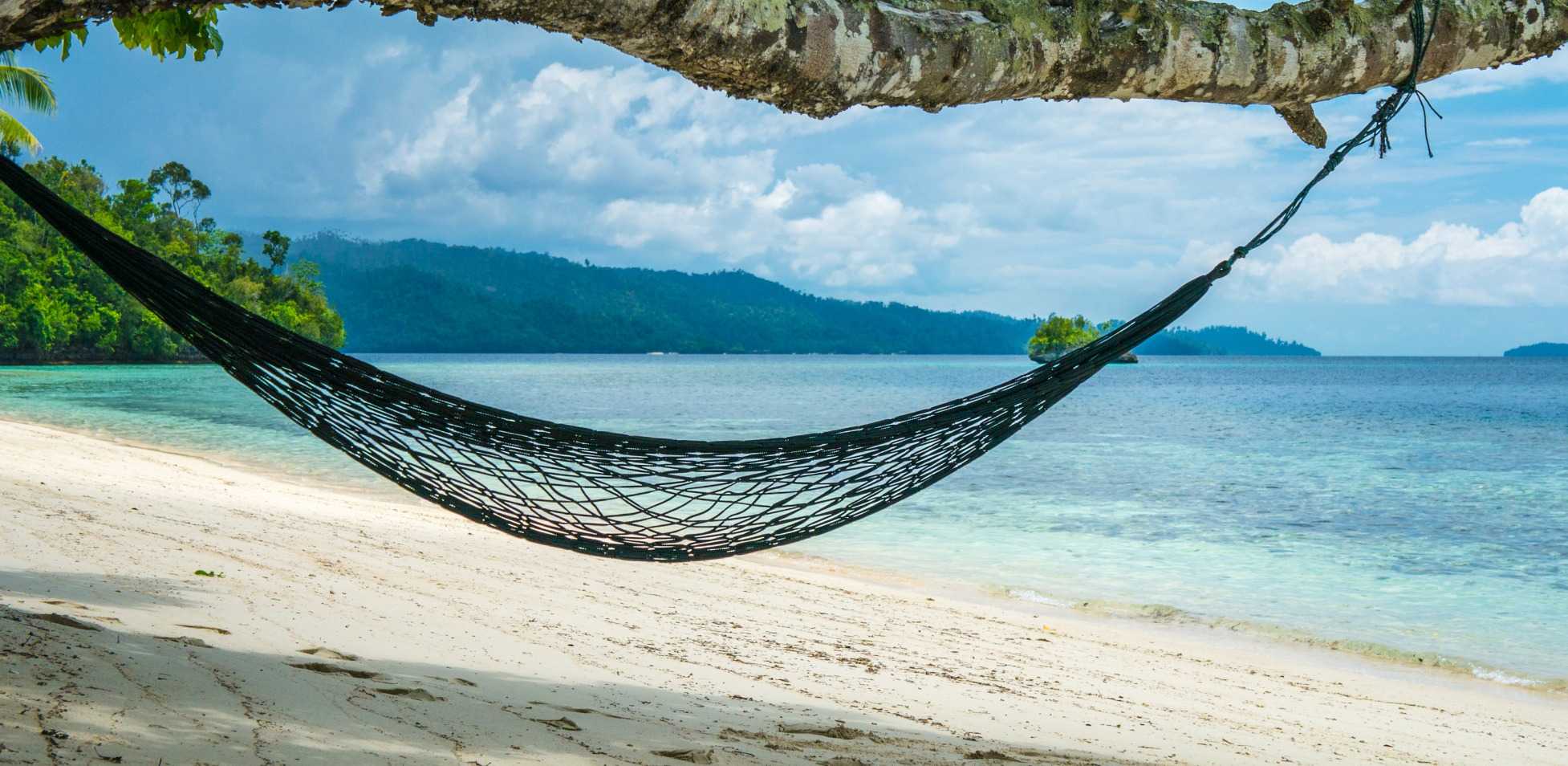 Top 5 Things to Bring to a Desert Island