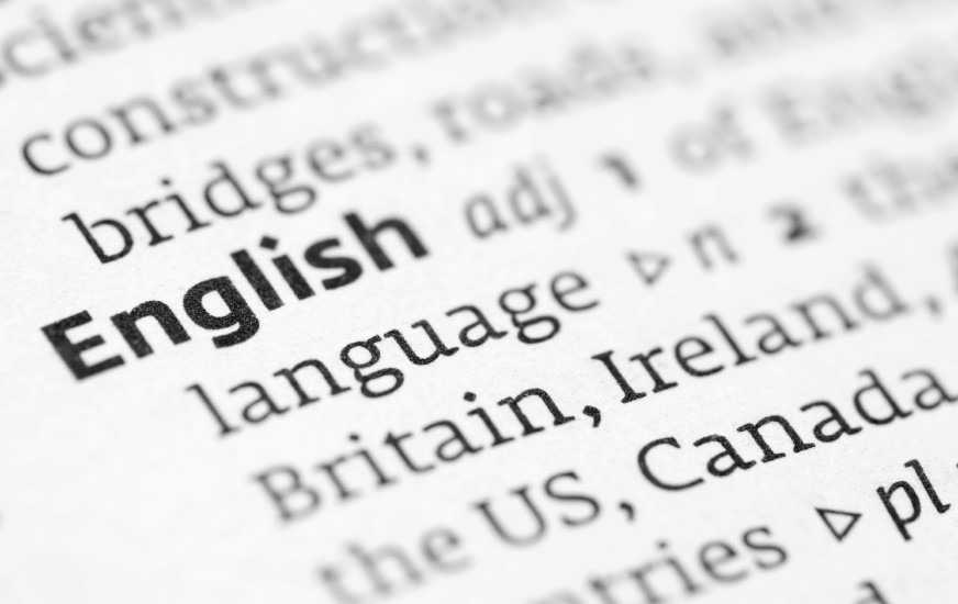Is Knowing English Enough for Expats?