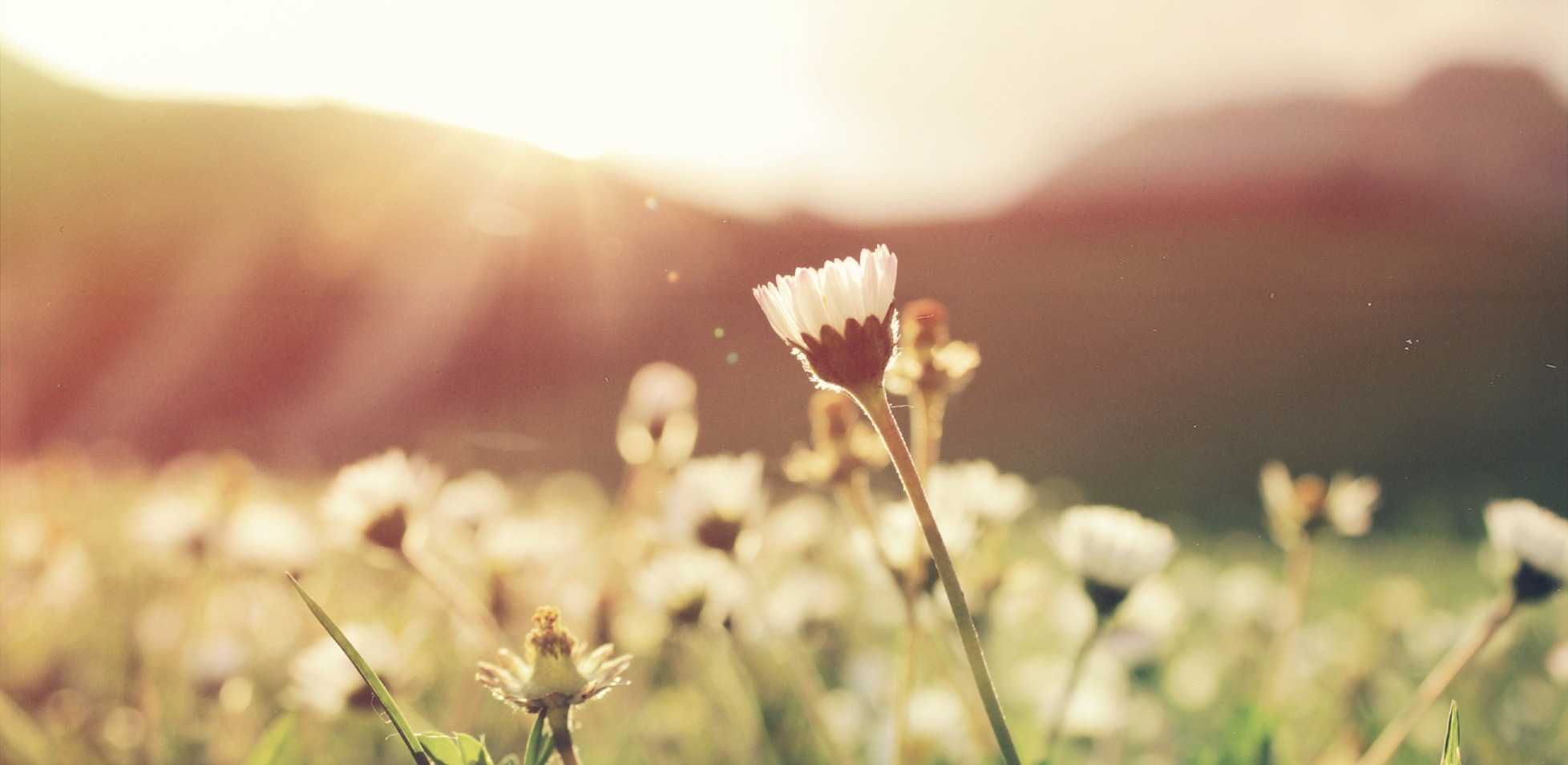 Expat Grief — It’s Time to Talk